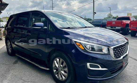 Buy Used Kia Sedona Blue Car in Omadhoo in Thaa Buy Used Kia Sedona Blue Car in Omadhoo in Thaa