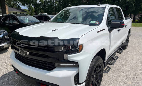 Buy Used Chevrolet Silverado White Car in Fodhdhoo in Nuun Buy Used Chevrolet Silverado White Car in Fodhdhoo in Nuun