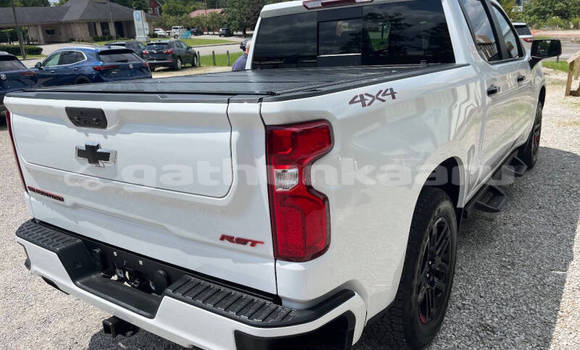 Buy Used Chevrolet Silverado White Car in Fodhdhoo in Nuun Buy Used Chevrolet Silverado White Car in Fodhdhoo in Nuun