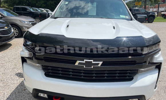 Buy Used Chevrolet Silverado White Car in Fodhdhoo in Nuun Buy Used Chevrolet Silverado White Car in Fodhdhoo in Nuun