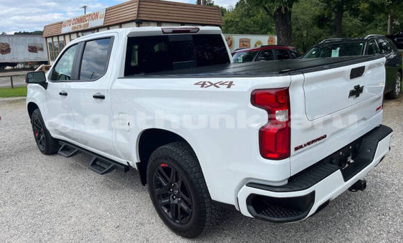 Buy Used Chevrolet Silverado White Car in Fodhdhoo in Nuun Buy Used Chevrolet Silverado White Car in Fodhdhoo in Nuun