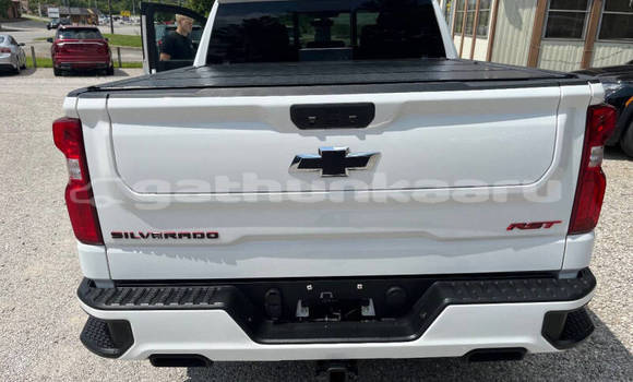 Buy Used Chevrolet Silverado White Car in Fodhdhoo in Nuun Buy Used Chevrolet Silverado White Car in Fodhdhoo in Nuun