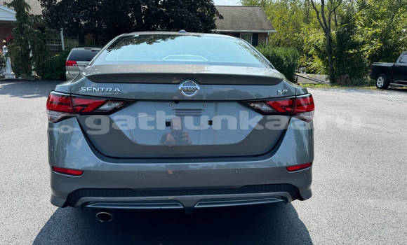 Buy Used Nissan Sentra Other Car in Dharaboodhoo in Faaf Buy Used Nissan Sentra Other Car in Dharaboodhoo in Faaf