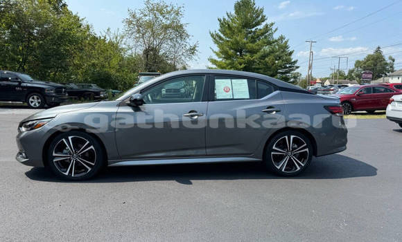 Buy Used Nissan Sentra Other Car in Dharaboodhoo in Faaf Buy Used Nissan Sentra Other Car in Dharaboodhoo in Faaf