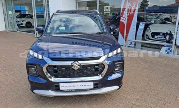 Buy Used Suzuki Grand Vitara Blue Car in Hulhudheli in Dhaal Buy Used Suzuki Grand Vitara Blue Car in Hulhudheli in Dhaal