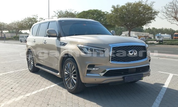 Buy Used Infiniti QX80 Other Car in Kolhufushi in Miim Buy Used Infiniti QX80 Other Car in Kolhufushi in Miim