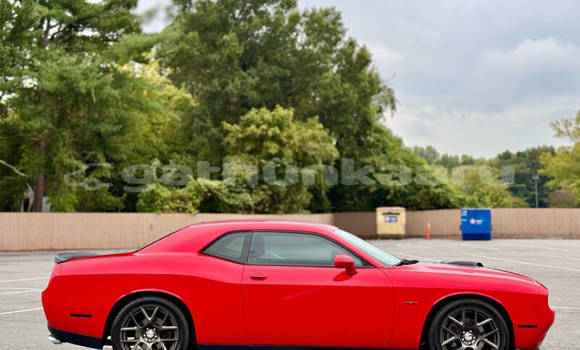 Buy Used Dodge Challenger Red Car in Fodhdhoo in Nuun Buy Used Dodge Challenger Red Car in Fodhdhoo in Nuun