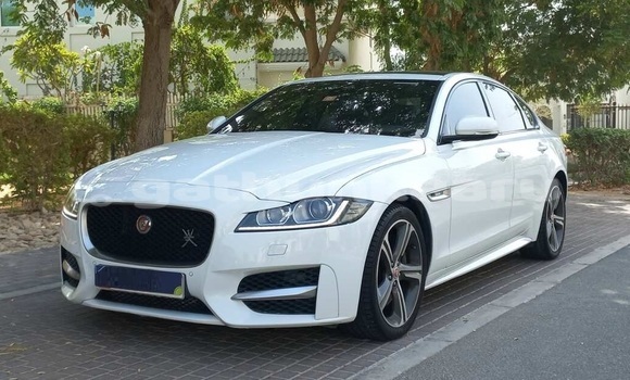 Buy Used Jaguar XF White Car in Omadhoo in Thaa