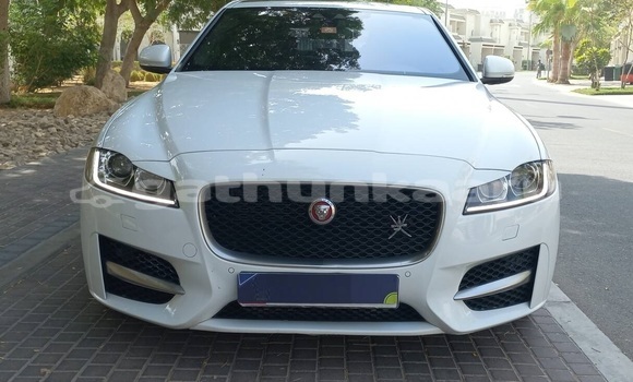 Buy Used Jaguar XF White Car in Omadhoo in Thaa Buy Used Jaguar XF White Car in Omadhoo in Thaa