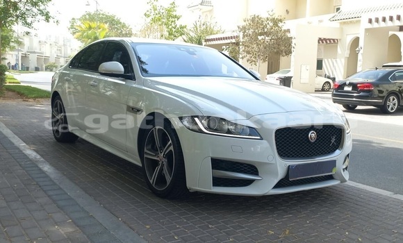 Buy Used Jaguar XF White Car in Omadhoo in Thaa Buy Used Jaguar XF White Car in Omadhoo in Thaa
