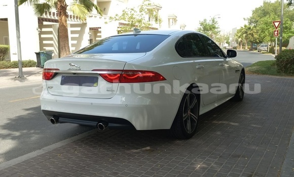 Buy Used Jaguar XF White Car in Omadhoo in Thaa Buy Used Jaguar XF White Car in Omadhoo in Thaa