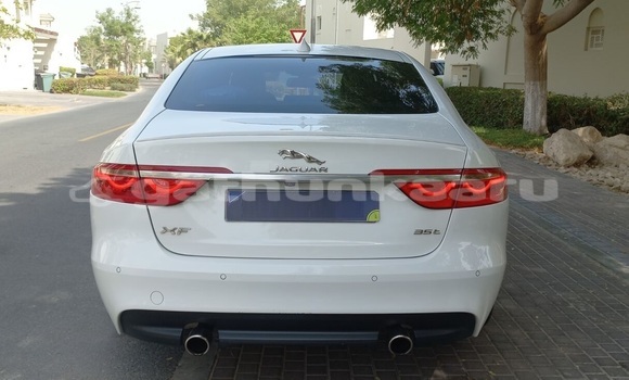 Buy Used Jaguar XF White Car in Omadhoo in Thaa Buy Used Jaguar XF White Car in Omadhoo in Thaa