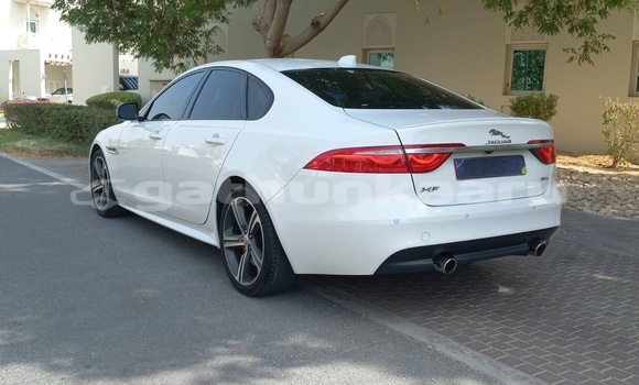 Buy Used Jaguar XF White Car in Omadhoo in Thaa Buy Used Jaguar XF White Car in Omadhoo in Thaa