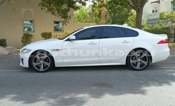 Buy Used Jaguar XF White Car in Omadhoo in Thaa Buy Used Jaguar XF White Car in Omadhoo in Thaa