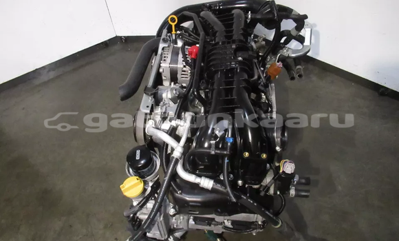 Buy Subaru Forester 2.0L Engi in Fodhdhoo in Nuun Buy Subaru Forester 2.0L Engi in Fodhdhoo in Nuun