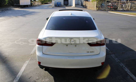 Buy Used Lexus IS White Car in Hinnavaru in Lhaviyani Buy Used Lexus IS White Car in Hinnavaru in Lhaviyani