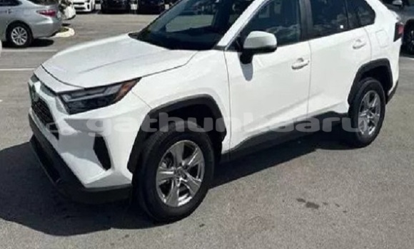 Buy Used Toyota RAV4 White Car in Eydhafushi in Baa