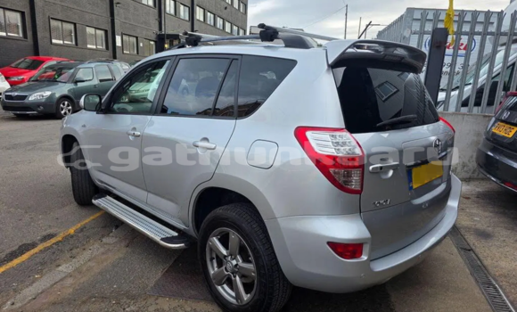 Buy Used Toyota RAV4 White Car in Muli in Miim Buy Used Toyota RAV4 White Car in Muli in Miim