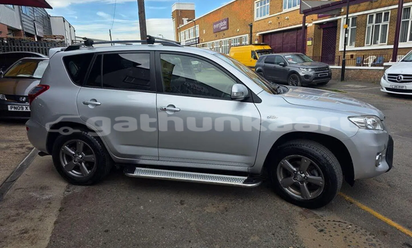 Buy Used Toyota RAV4 White Car in Muli in Miim Buy Used Toyota RAV4 White Car in Muli in Miim