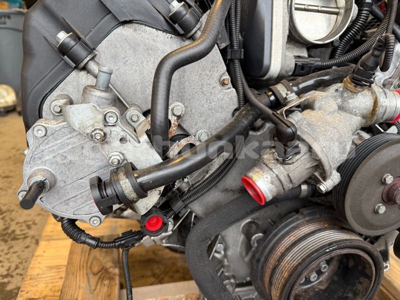 Big with watermark 11