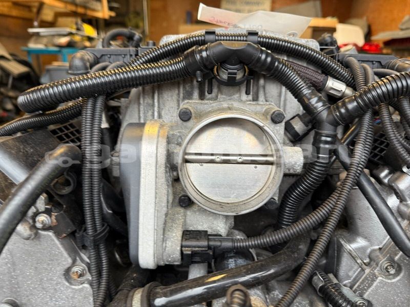 Big with watermark 12