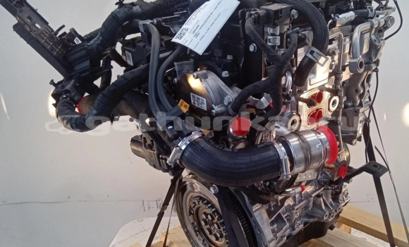 Buy KIA SPORTAGE 1.6L, in Fainu in Raa Buy KIA SPORTAGE 1.6L, in Fainu in Raa