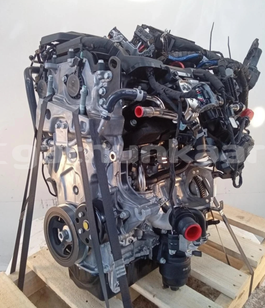 Big with watermark s l1600