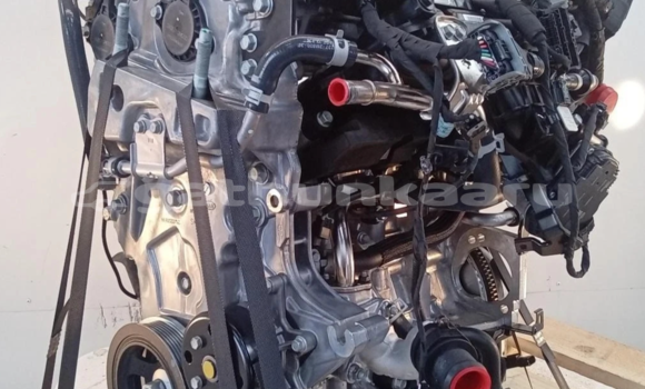 Buy KIA SPORTAGE 1.6L, in Fainu in Raa Buy KIA SPORTAGE 1.6L, in Fainu in Raa