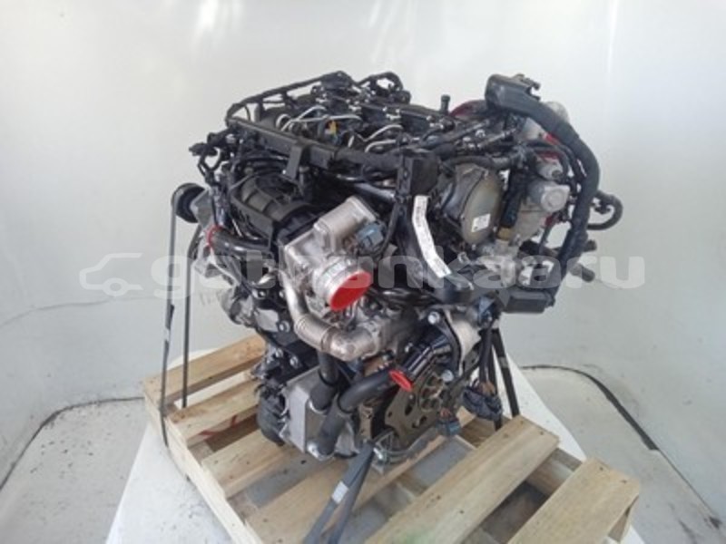 Big with watermark s l960d