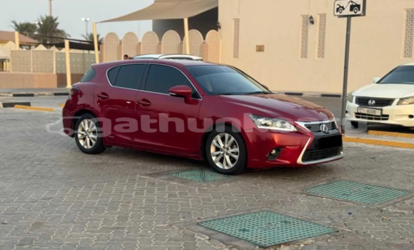 Buy Used Lexus CT Red Car in Fainu in Raa