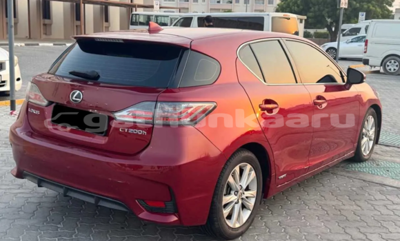 Buy Used Lexus CT Red Car in Fainu in Raa Buy Used Lexus CT Red Car in Fainu in Raa