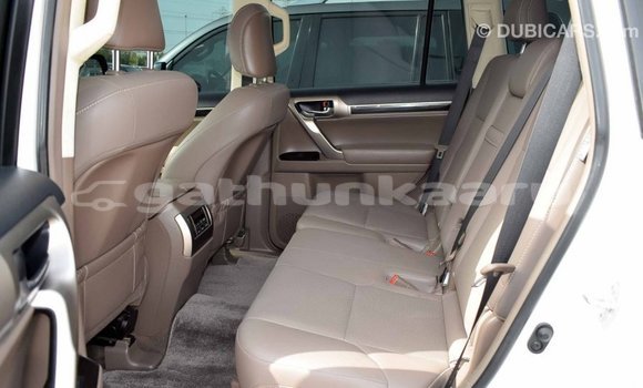 Buy Import Lexus GX White Car in Import - Dubai in Baa Buy Import Lexus GX White Car in Import - Dubai in Baa