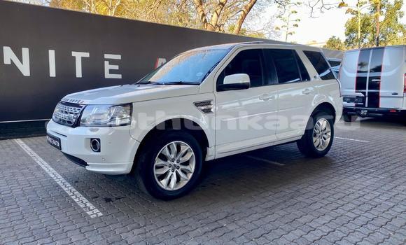 Buy Used Land Rover Freelander White Car in Bilehffahi in Shaviyani Buy Used Land Rover Freelander White Car in Bilehffahi in Shaviyani