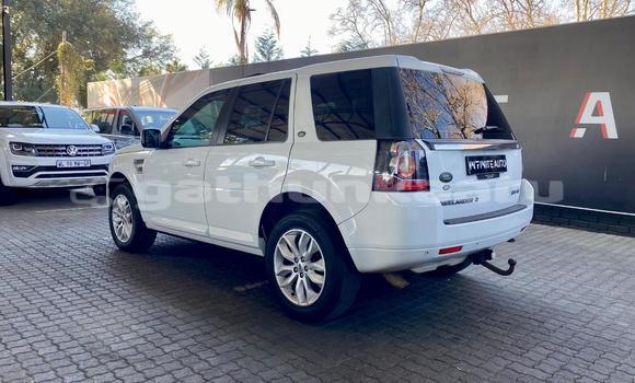 Buy Used Land Rover Freelander White Car in Bilehffahi in Shaviyani Buy Used Land Rover Freelander White Car in Bilehffahi in Shaviyani
