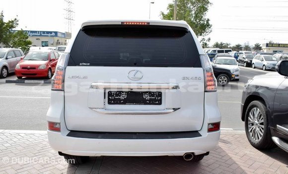 Buy Import Lexus GX White Car in Import - Dubai in Baa Buy Import Lexus GX White Car in Import - Dubai in Baa