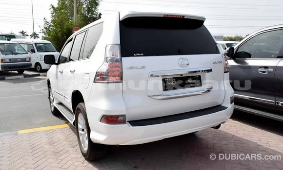 Buy Import Lexus GX White Car in Import - Dubai in Baa Buy Import Lexus GX White Car in Import - Dubai in Baa