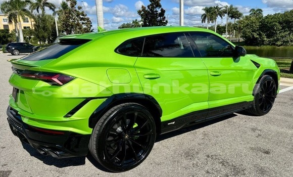 Buy Used Lamborghini Urus Green Car in Biledhdhoo in Faaf Buy Used Lamborghini Urus Green Car in Biledhdhoo in Faaf