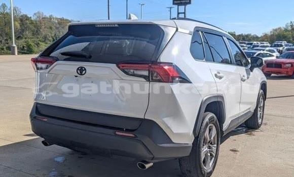 Buy Used Toyota RAV4 White Car in Bilehffahi in Shaviyani Buy Used Toyota RAV4 White Car in Bilehffahi in Shaviyani