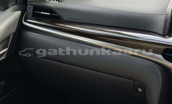 Buy Used Lexus LX 570 White Car in Fuvammulah in Ghaviyani Buy Used Lexus LX 570 White Car in Fuvammulah in Ghaviyani