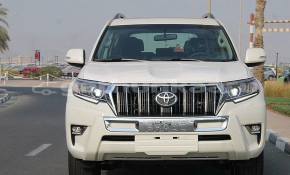 Buy Used Toyota Land Cruiser Prado White Car in Dharaboodhoo in Faaf