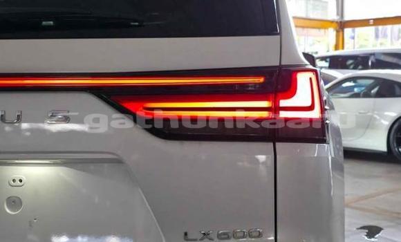 Buy Used Lexus LX White Car in Import - Dubai in Baa Buy Used Lexus LX White Car in Import - Dubai in Baa