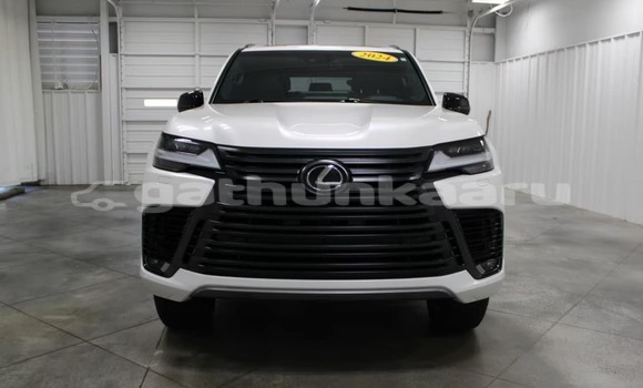 Buy Used Lexus LX White Car in Dhabidhoo in Laam