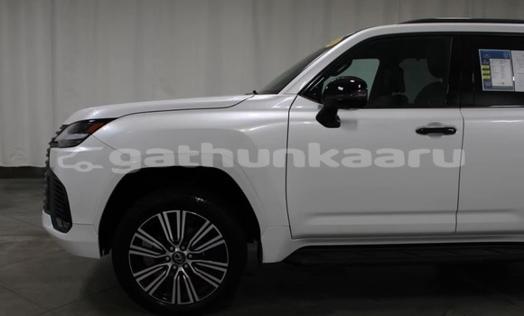 Buy Used Lexus LX White Car in Dhabidhoo in Laam Buy Used Lexus LX White Car in Dhabidhoo in Laam