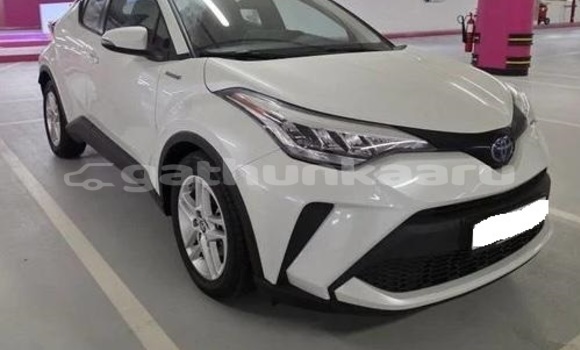 Buy Used Toyota C-HR White Car in Dharavandhoo in Baa
