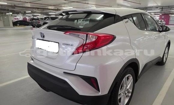 Buy Used Toyota C-HR White Car in Dharavandhoo in Baa Buy Used Toyota C-HR White Car in Dharavandhoo in Baa