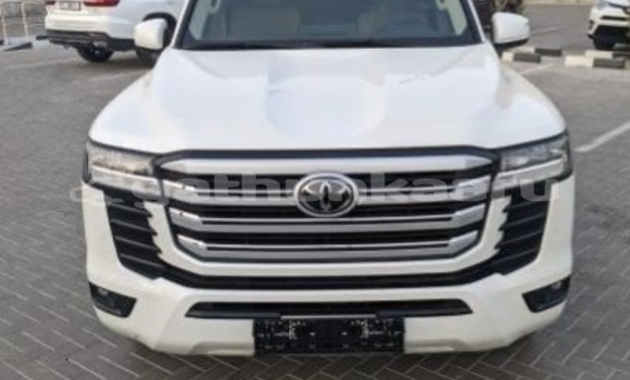 Buy Used Toyota Land Cruiser White Car in Dharavandhoo in Baa