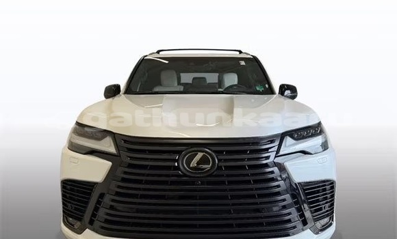 Buy Used Lexus LX White Car in Dharavandhoo in Baa