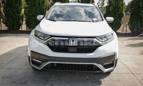 Buy Used Honda CR–V White Car in Dhabidhoo in Laam Buy Used Honda CR–V White Car in Dhabidhoo in Laam