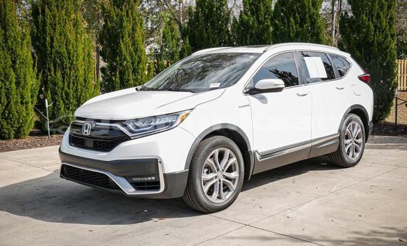 Buy Used Honda CR–V White Car in Dhabidhoo in Laam Buy Used Honda CR–V White Car in Dhabidhoo in Laam