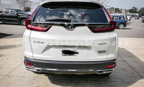 Buy Used Honda CR–V White Car in Dhabidhoo in Laam Buy Used Honda CR–V White Car in Dhabidhoo in Laam